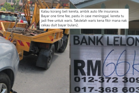 Cats Give Hooman Death Stares From Modified Attic In Taiwan Malaysia Marketing Community